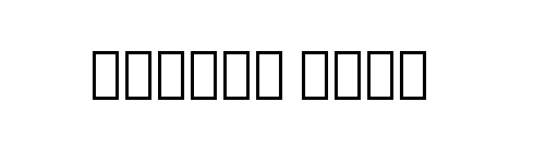 Inter Face Trial Bold Italic  